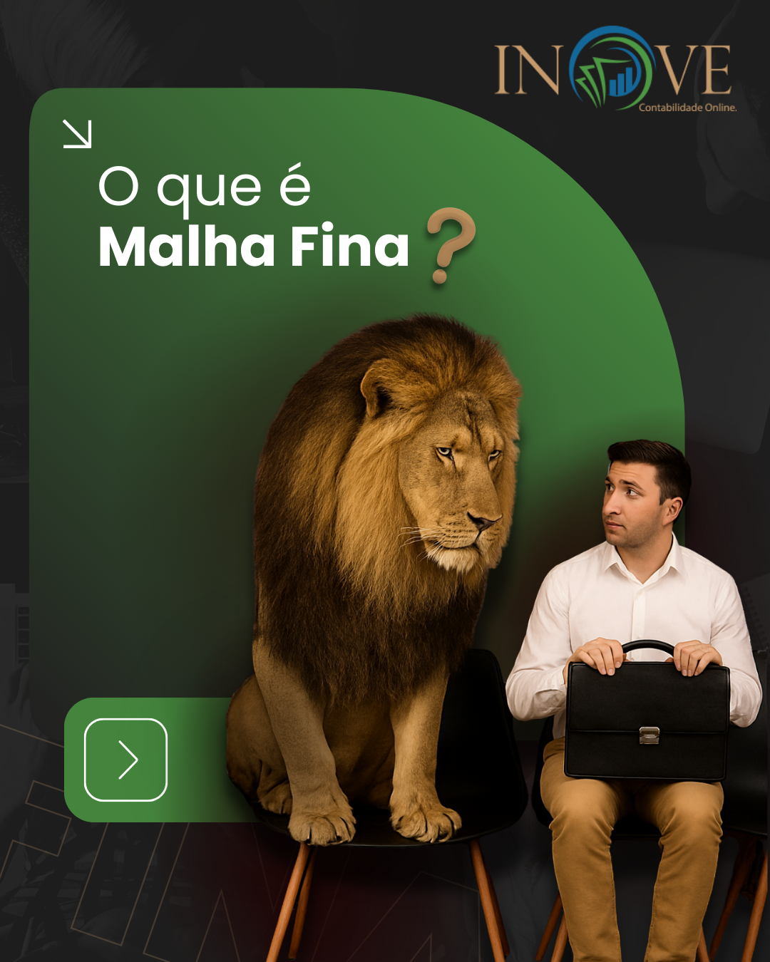 O QUE E MALHA FINA